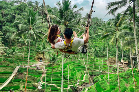 North Bali: Dolphin Swim, Snorkeling, & Waterfall Cliff Jump Small Group With Hotel Transfer Central Bali