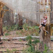 Pemberton: 1 Hour Explorer Pass with Ziplines and High Ropes