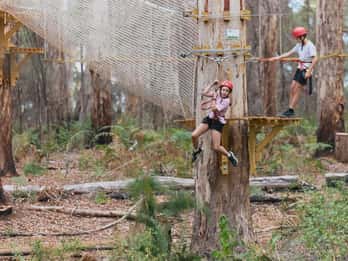 Pemberton: Pass per esploratori di 1 ora con Zipline e corde alte
