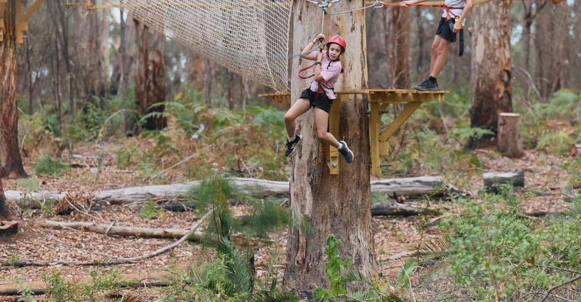 Pemberton: 1 uur Explorer Pass met Ziplines en High Ropes | GetYourGuide