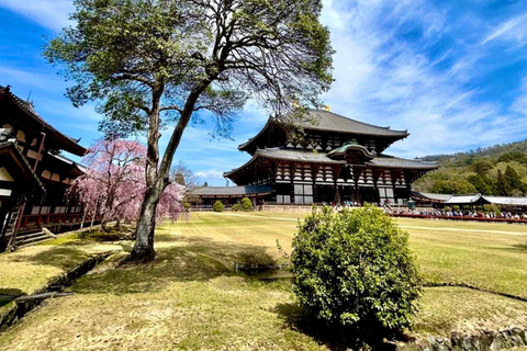 Nara Hidden Gems: Deer, Tsubosaka-dera, Kasuga & Naramachi