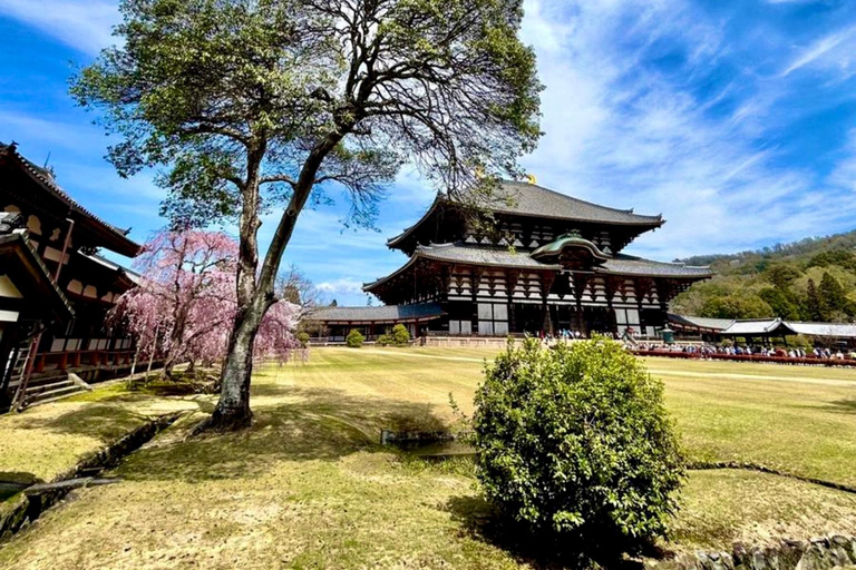 Nara Hidden Gems: Deer, Tsubosaka-dera, Kasuga & Naramachi