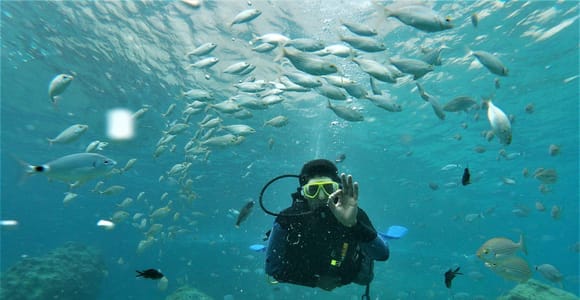 Antalya: Kemer Scuba Diving for Beginners & Certified Divers