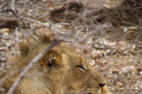 St Lucia, KZN : 3-Day Wildlife and Cultural Safari