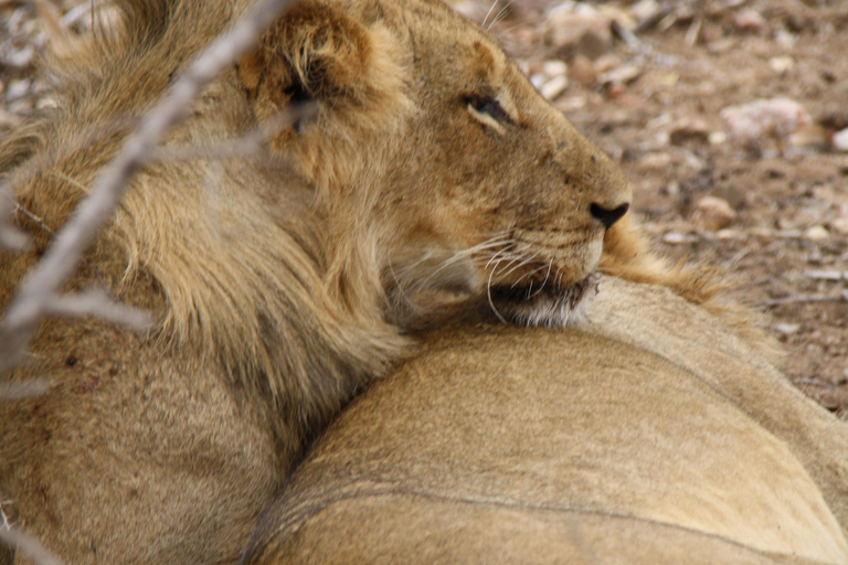 St Lucia, KZN : 3-Day Wildlife and Cultural Safari