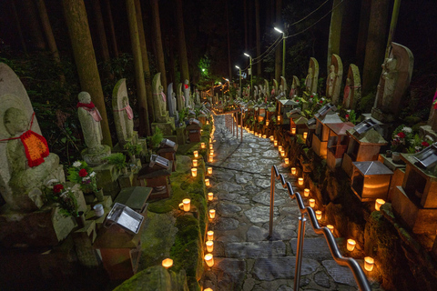 Private sightseeing tour of Nara in Spanish with pick-up from your hotel in Osaka or Kyoto 6-Hour Private Tour in Spanish
