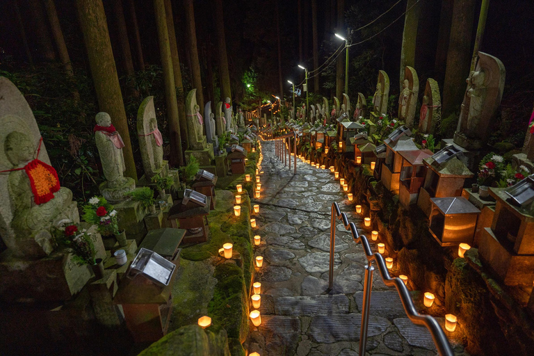 Private sightseeing tour of Nara in Spanish with pick-up from your hotel in Osaka or Kyoto 6-Hour Private Tour in Spanish