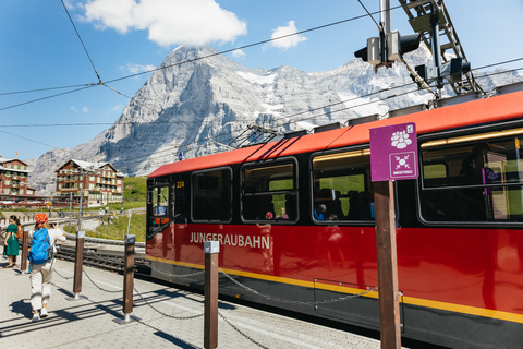 From Zurich: Guided Day Trip to Jungfraujoch with Train Ride