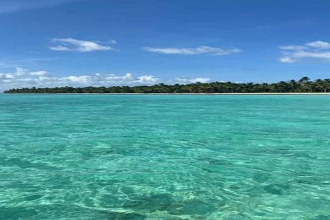 Punta Cana: Saona Island Day Trip with Lunch & Open Bar
