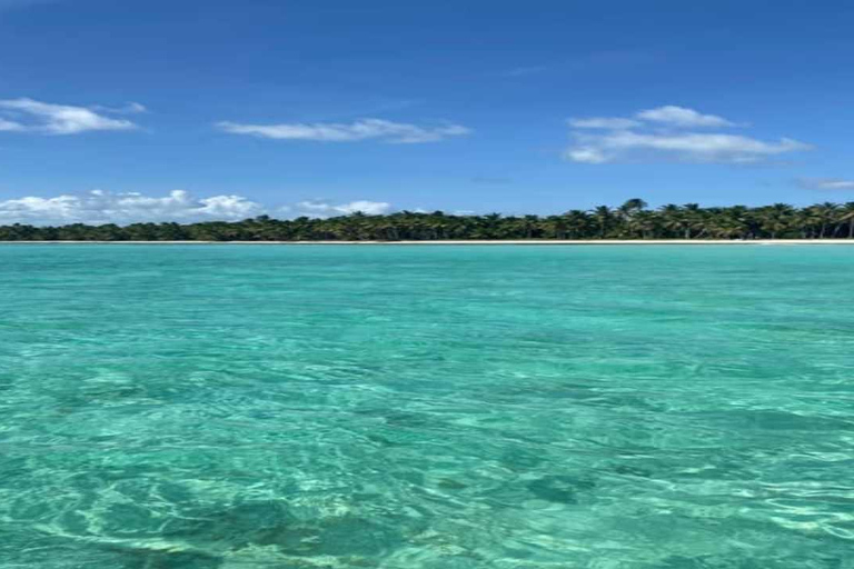 Punta Cana: Saona Island Day Trip with Lunch & Open Bar