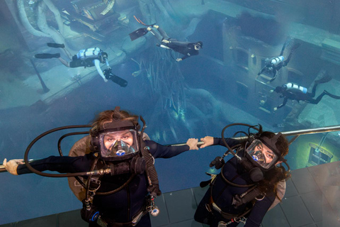 迪拜：Deep Dive 水下漫步之旅（无需证书）白金级水肺潜水，包括长视频和设施参观