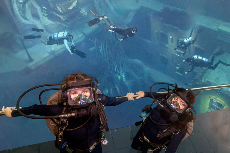 迪拜：Deep Dive 水下漫步之旅（无需证书）白金级水肺潜水，包括长视频和设施参观