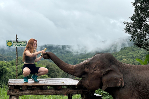 Chiang Mai: Elephant Sanctuary, Waterfall and Rafting Tour Hotel Pickup