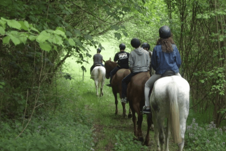 Horseback Riding Experience in Toledo and Full-Day Puy du Fou Tour with Transfers from Madrid Full Day: Transfers from Madrid + Horseback Riding Visit + Daytime Admission to Puy du Fou. Top Choice