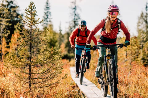 Levi: E-Fatbike-Abenteuer auf Rentierpfaden