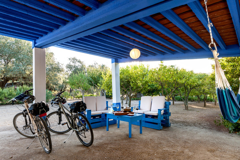 Évora: Alentejo Region 7-tägige geführte Radtour