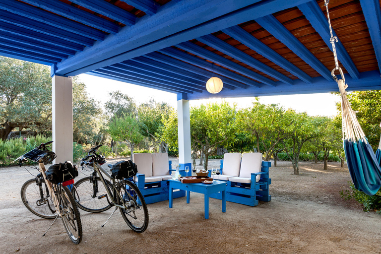 Évora: Alentejo Region 7-tägige geführte Radtour