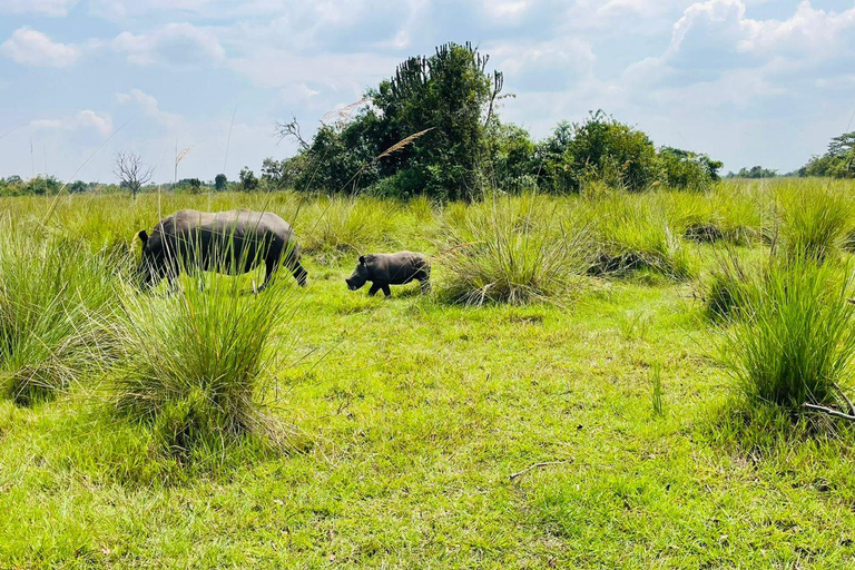 Uganda: Zziwa Rhino Tracking and Wildlife Day Adventure