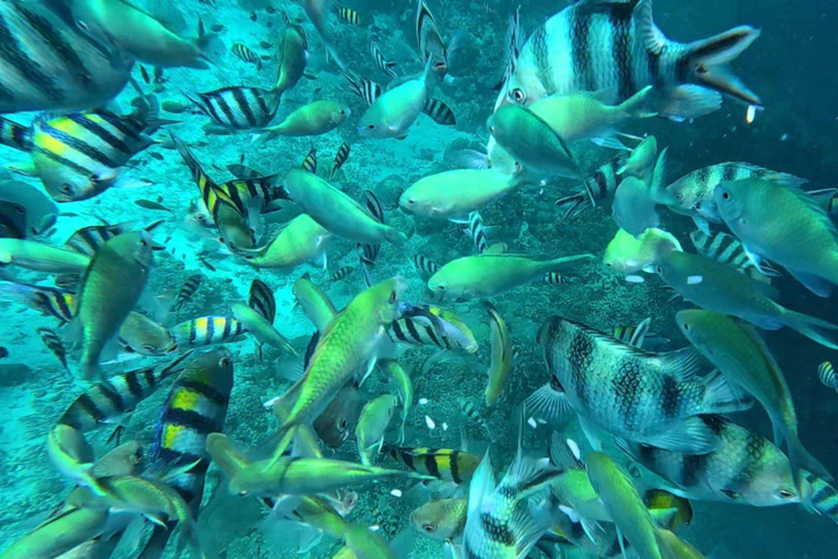 Mactan: Island Hopping Adventure with Snorkeling Mactan: Island Hopping Adventure with Snorkeling Group Tour