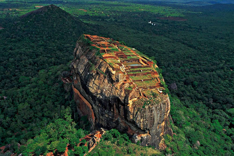 Depuis Colombo : Sigiriya / Dambulla &amp; Safari Day Tour