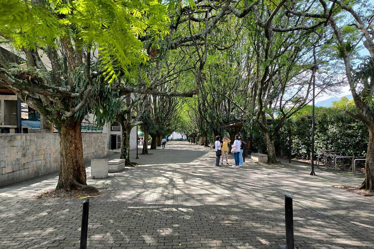 Medellín Through Time – City Sightseeing Tour | Subway, Metrocable, and Historic Center