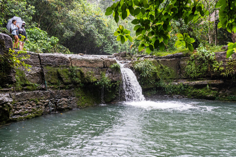 Tena: Quad Bike Tour in Napo Province Tena: Quad bike tour in Napo Province