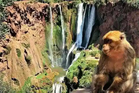 Excursion privée à Marrakech : Cascades d'Ouzoud - Visite guidée et tour en bateau