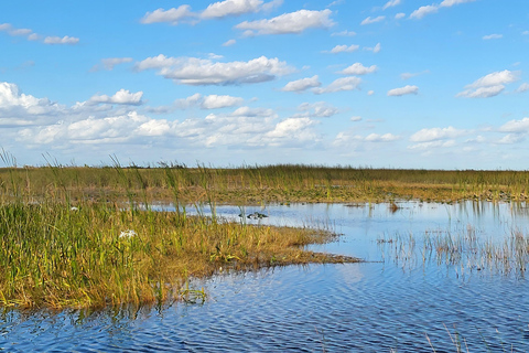 Everglades: boat tour with transportation& entrance included