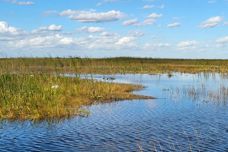 Everglades: boat tour with transportation&amp; entrance included