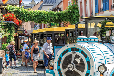 Rüdesheim sightseeingtour met de Winzerexpress