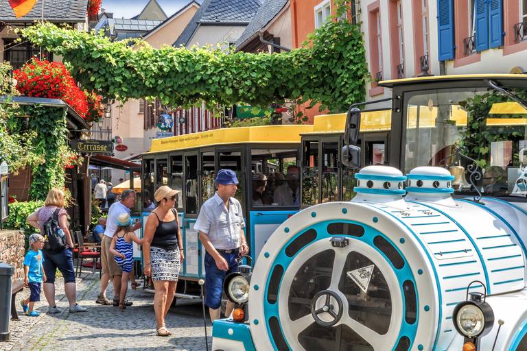 Rüdesheim sightseeing tour with the Winzerexpress