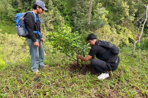 Yogyakarta: Merapi Volcano Trek with Transfer Daylight Trekking at Merapi Volcano (without sunrise)