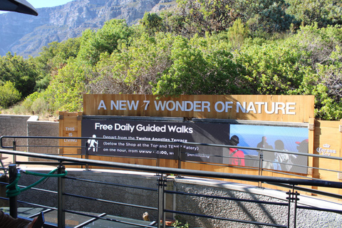 Cape Town: Table Mountain, Bo-Kaap, & Boulders Beach Tour