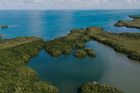 Guadeloupe: Magical half-day boat trip: mangrove, islet, snorkeling. Guadeloupe: Magical 1/2-day boat trip: mangrove, islet, snorkeling.