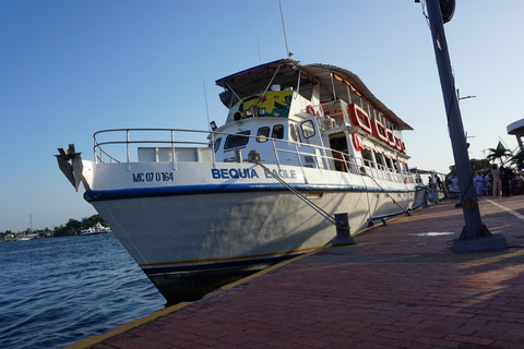 Carthagène : excursion en bateau de nuit avec dîner et open barCARTAGENA : Excursion en bateau de nuit blanche avec dîner et open bar