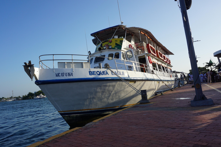 Carthagène : excursion en bateau de nuit avec dîner et open barCARTAGENA : Excursion en bateau de nuit blanche avec dîner et open bar