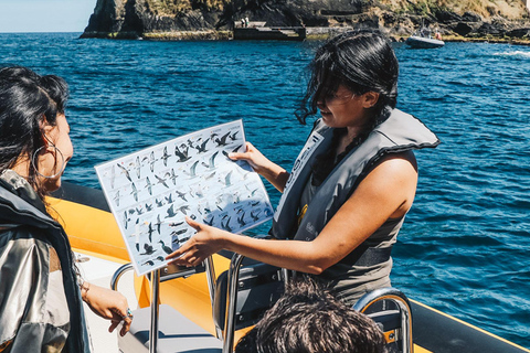 Vila Franca do Campo: Alrededor del Islote Tour en barco guiado