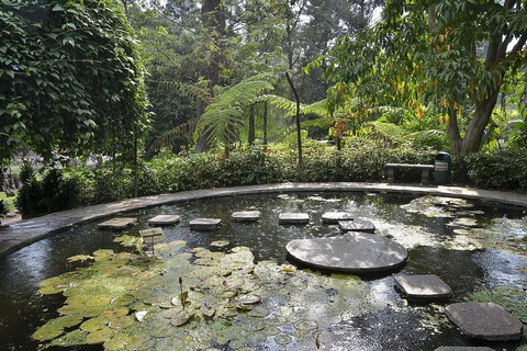 San Salvador: Boquerón National Park & Botanical Garden Tour