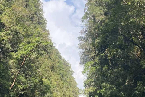 Krabi: Ao Thalane Mangrove Kayaking Tour with Pickup Half Day Kayak - Morning Session