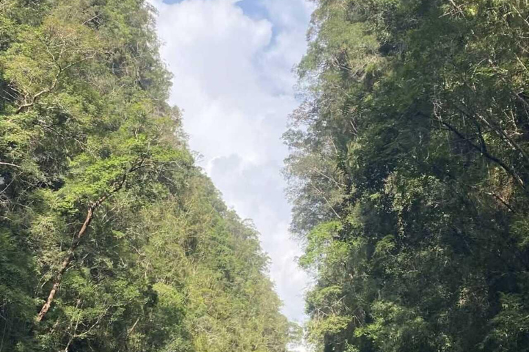 Krabi: Ao Thalane Mangrove Kayaking Tour with Pickup Half Day Kayak - Morning Session