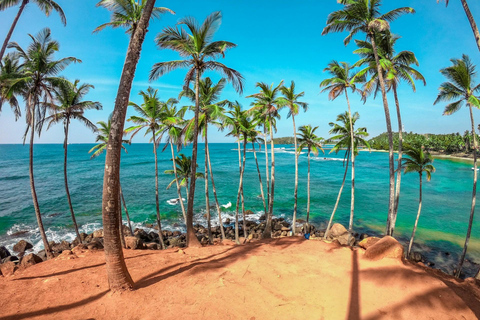 Colombo Galle to Sinharaja Rainforest day tour