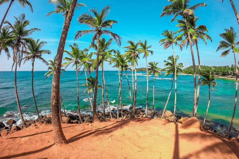Colombo Galle to Sinharaja Rainforest day tour