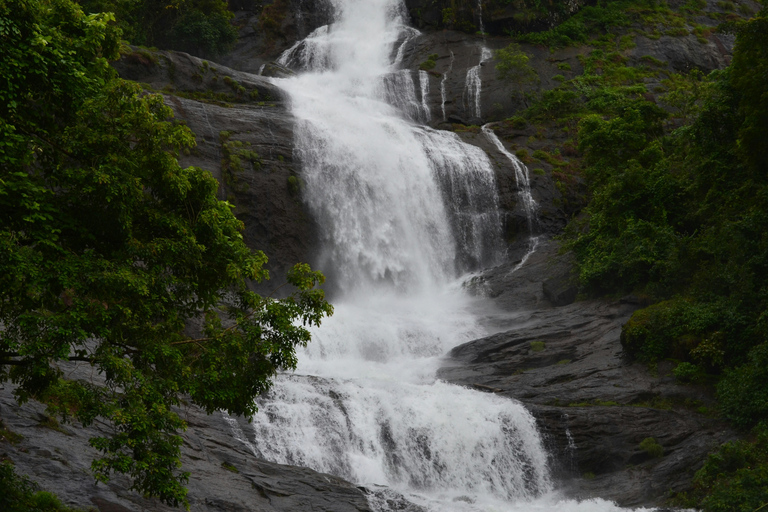 From Galle: Sinharaja Rainforest Trek & Village Lunch From Deniyaya: Private Tuk-Tuk, Rainforest Trek & Lunch
