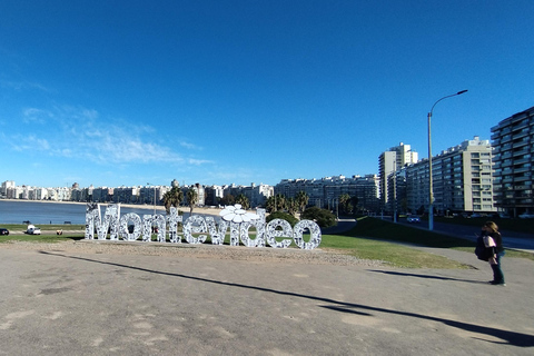 Montevideo from Buenos Aires -Unique Private Tour ExperienceMontevideo from Buenos Aires - Unique Day Tour Experience