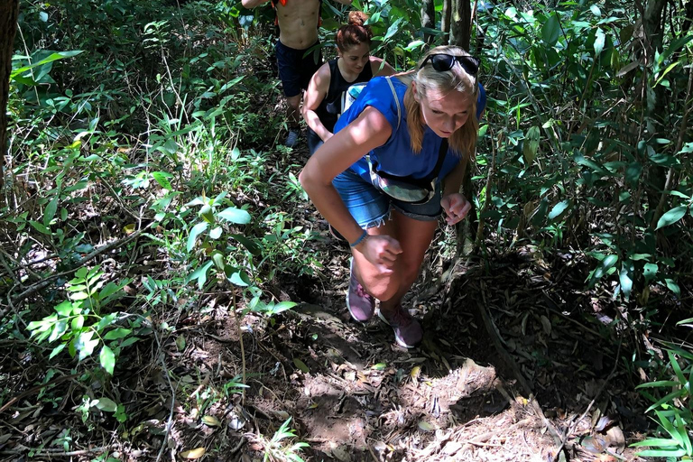 Rio de Janeiro: Pedra Bonita Hike and Paradise Beach Rio de Janeiro: Pedra Bonita Hike and Paradisíaca Beach