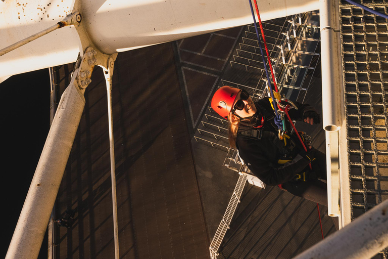 Cardiff: Principality Stadium Abseiling Adult or Child