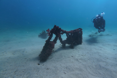 Sydney: Scuba Dive In Sydney, No Experience Required