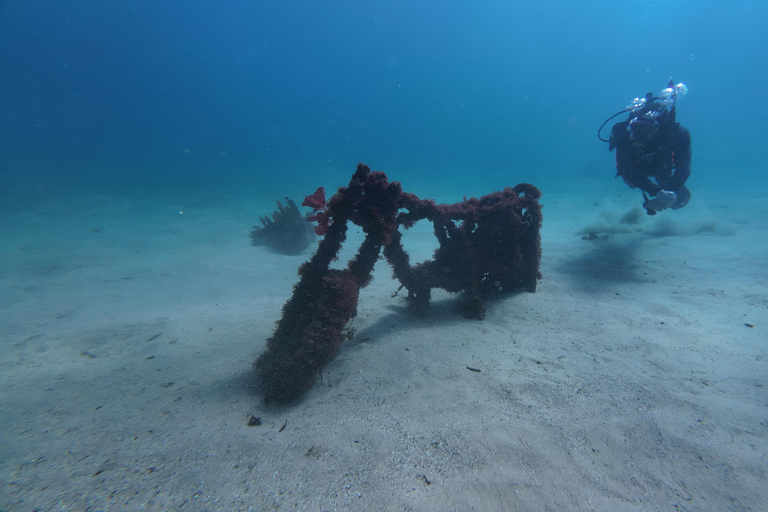 Sydney: Scuba Dive In Sydney, No Experience Required