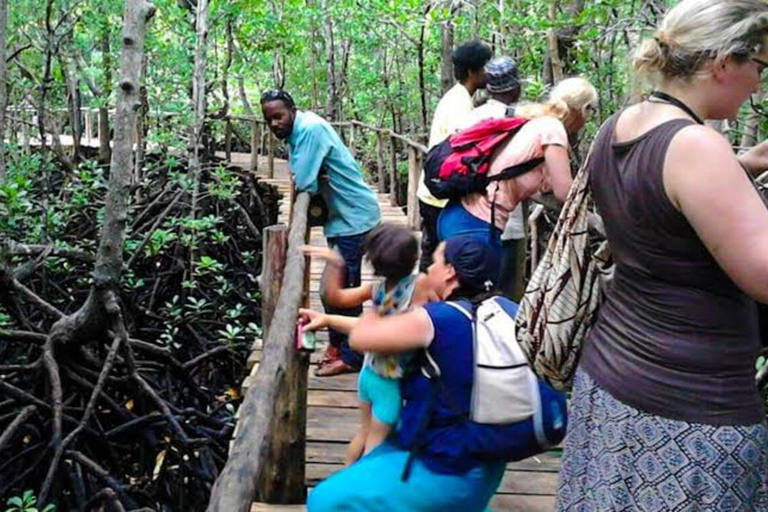 Zanzibar: Mnemba Dolphin, Jozani Forest & Turtle Sanctuary Private Tour without Hotel transfer
