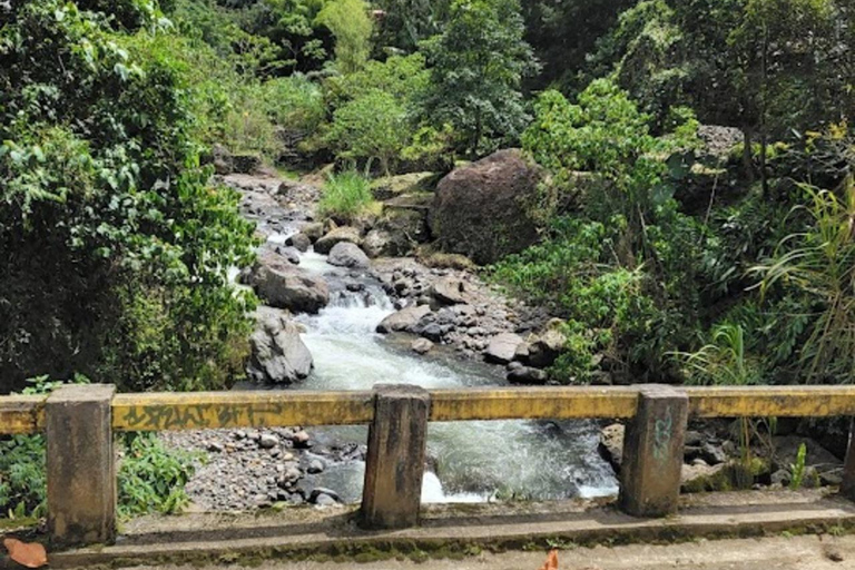 MEDELLIN : VISITE DES JARDINS + ANDES (VUE PANORAMIQUE) + ÉLEVAGE DE TRUITES